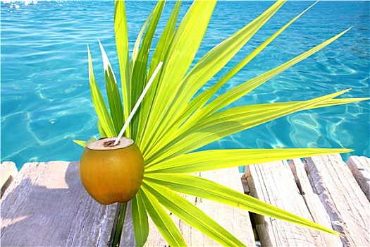 椰树,鸡尾酒,棕榈树,叶子,加勒比