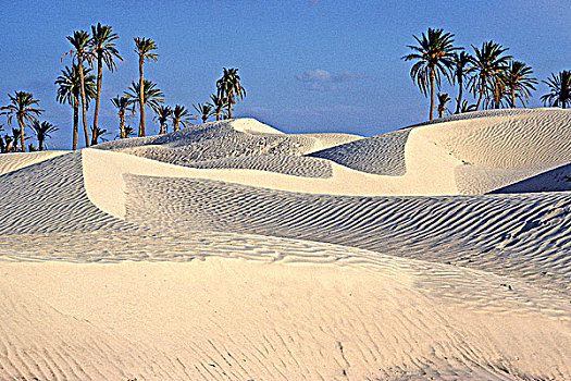 突尼斯,靠近,杜兹,沙丘