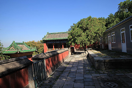 北京皇家园林颐和园四大部洲