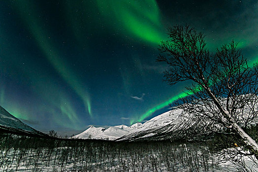北极光,上方,露营,挪威北部