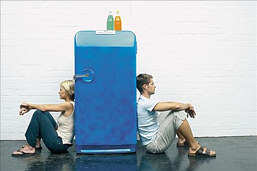 伴侣,坐,电冰箱