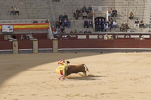 斗牛,马德里,西班牙