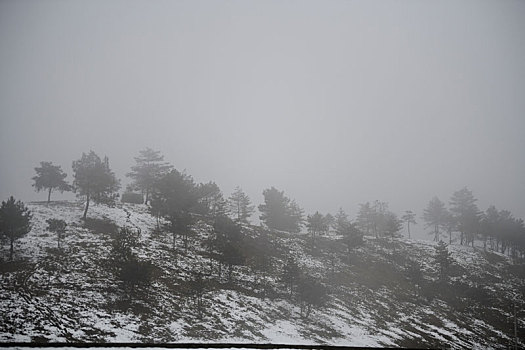 重庆酉阳,隆冬残雪耀苍蒲