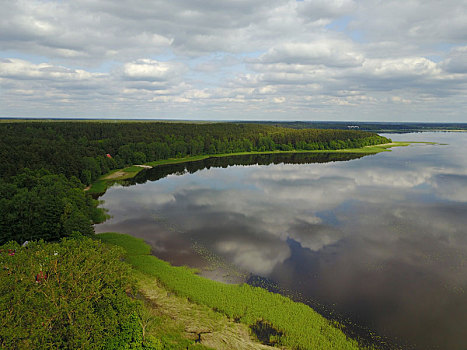 里加,湖,俯视,拉脱维亚