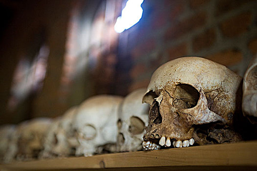 头骨,种族屠杀,排列,架子,教堂,卢旺达