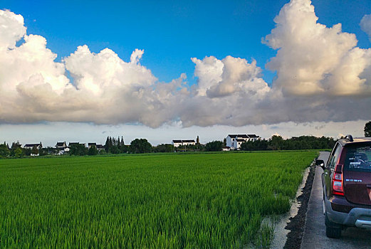 田园,田园风光,乡野