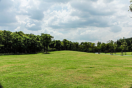 上海顾村公园风光