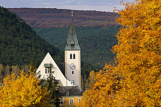教区教堂,下奥地利州,奥地利,欧洲