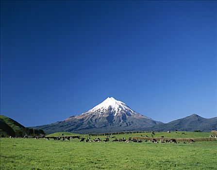 艾格蒙特国家公园,山,塔拉纳基,北岛,新西兰