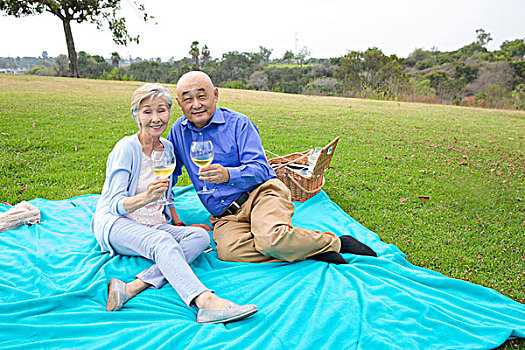 头像,老年,夫妻,野餐,公园,拿着,葡萄酒杯