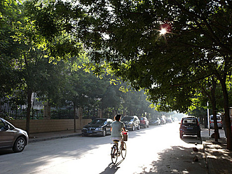 北戴河,树木,街道,道路,风景,安静,绿化