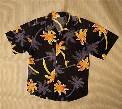 棚拍,夏威夷,衬衫,黑色,棕榈树,设计