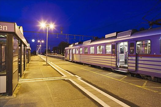 列车,站台,瑞典
