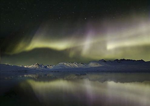北极光,空中,夜晚,峡湾,格陵兰