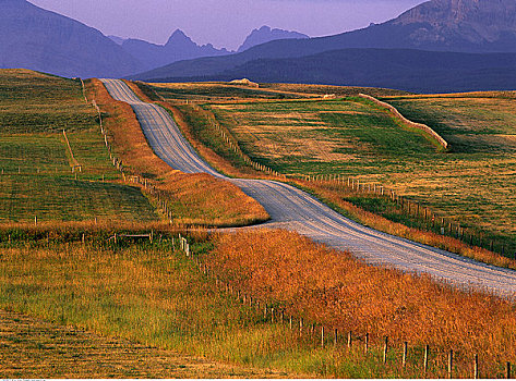 土路,风景,落基山脉,艾伯塔省,加拿大