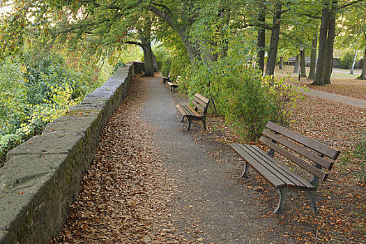 公园长椅,罗腾堡,地区,巴伐利亚,德国