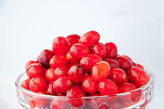 主要生长北半球的水果,红色浆果蔓越莓