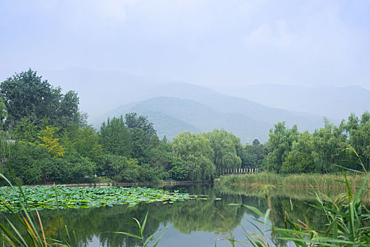 湖泊,湖,北京,植物园,秋季,夏季,夏天,秋天,蓝天,白云,草地,绿树,绿色,风景,雾天,雾气