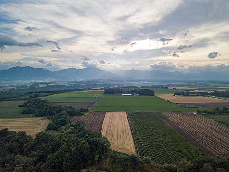 航拍,北海道,日本