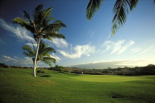 夏威夷,柯哈拉海岸,毛纳拉尼,胜地,高尔夫球场,日落,旗帜,远景,棕榈树