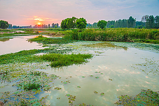 黄昏环境中的生态湿地