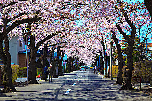 街道,函馆