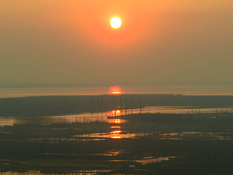 山东泰安东平湖风光