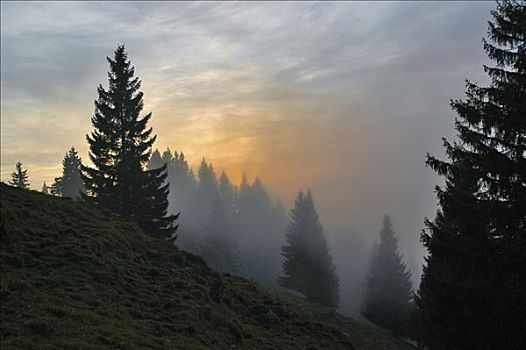 落日,雾,巴伐利亚,德国