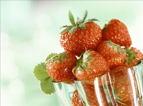 草莓,玻璃