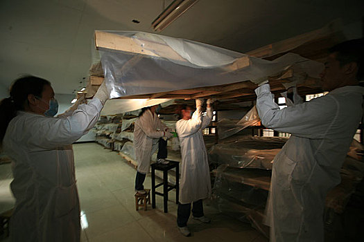 河南洛阳古墓博物馆,壁画修复人员在对壁画进行保护