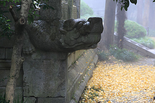 南京明孝陵雾景