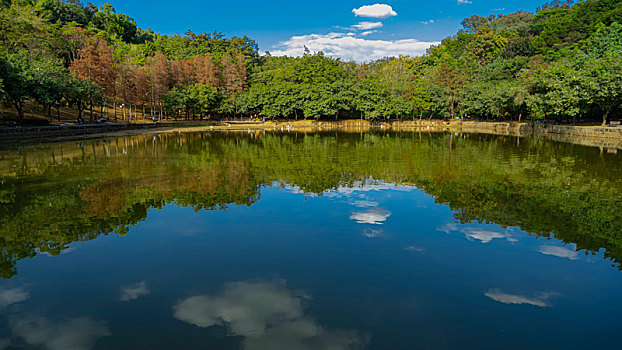 莲花山公园的湖水