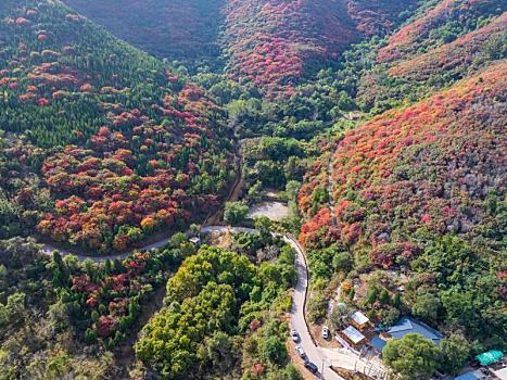 航拍济南彩石镇漫山遍野的红叶