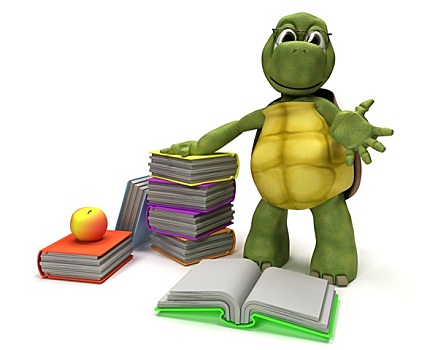 龟,读,书本