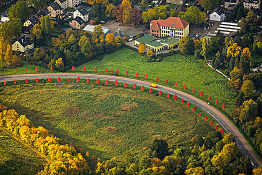 自然保护区,道路,落叶树,红色,秋叶,自行车道,波鸿,鲁尔区,北莱茵威斯特伐利亚,德国