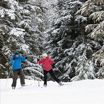 伴侣,越野滑雪,不列颠哥伦比亚省,加拿大