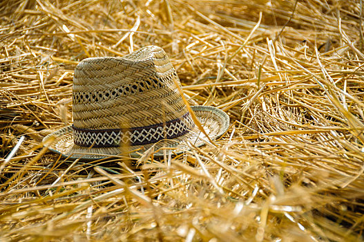 帽子,稻草