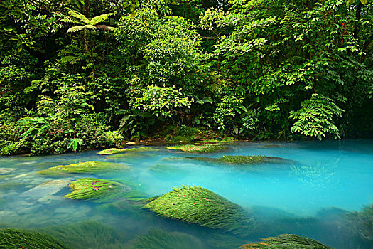 河,火山国家公园,哥斯达黎加,中美洲
