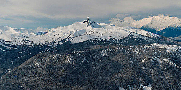 俯拍,积雪,山,黑色,獠牙,惠斯勒,不列颠哥伦比亚省,加拿大