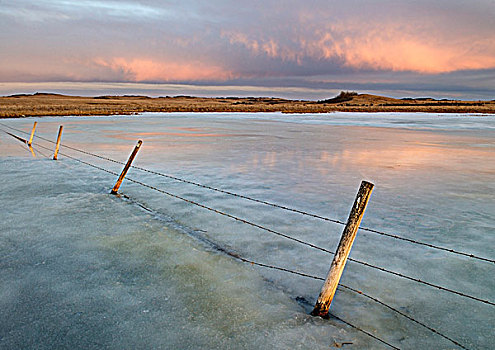 围栏,冰冻,低湿地,靠近,艾伯塔省,加拿大