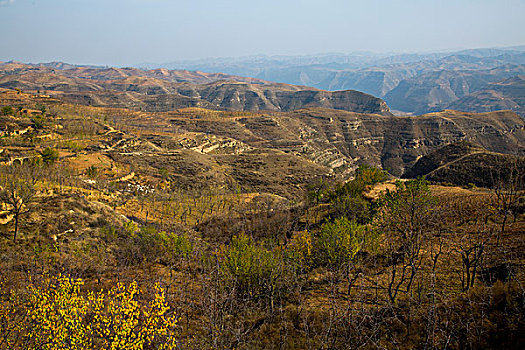 黄河峡谷