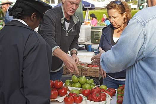 西红柿,销售,农民,市场,新奥尔良,路易斯安那,美国