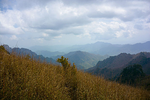 秦岭高山草甸