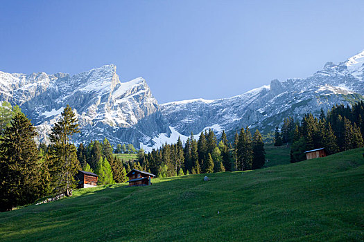 风景,顶峰,南方,日出,阿尔卑斯山,提洛尔,奥地利