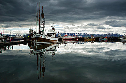 观鲸,船,东北方,冰岛,欧洲