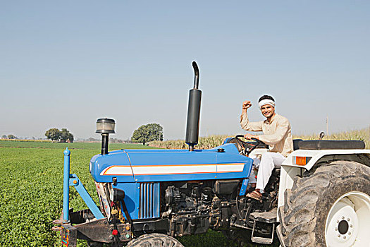 农民,驾驶,拖拉机,土地,印度