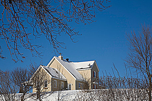 住宅,家,山顶,冬天,勒奴地耶地区,魁北克,加拿大