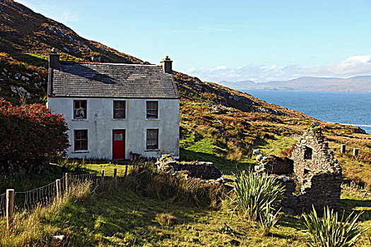 爱尔兰,科克郡,半岛,传统,19世纪,农舍,家,艺术家,挨着,破旧,毁坏,屋舍