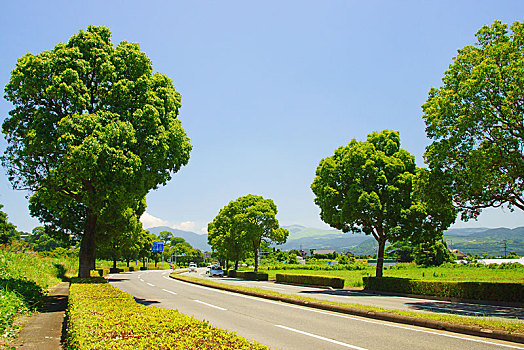 熊本,道路,路线,航空公司