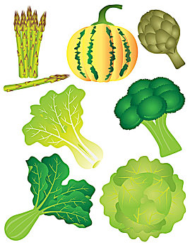 蔬菜,插画,隔绝,白色背景,背景